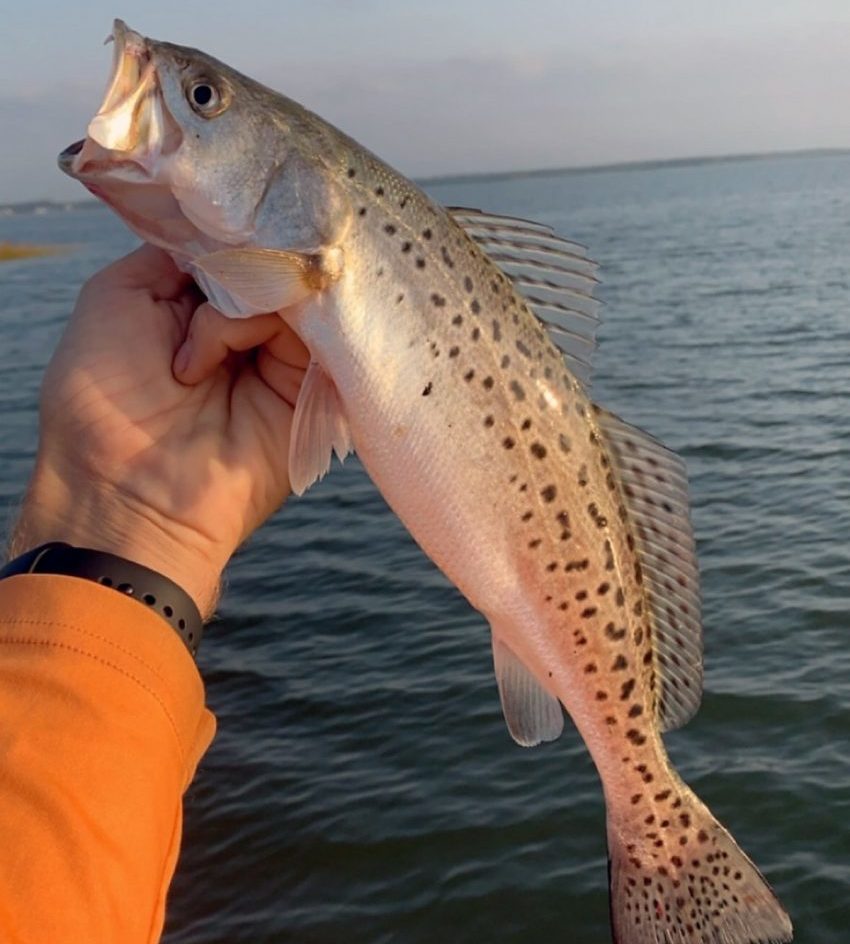 TOP 10 BEST Fishing near Navarre, FL - February 2024 - Yelp